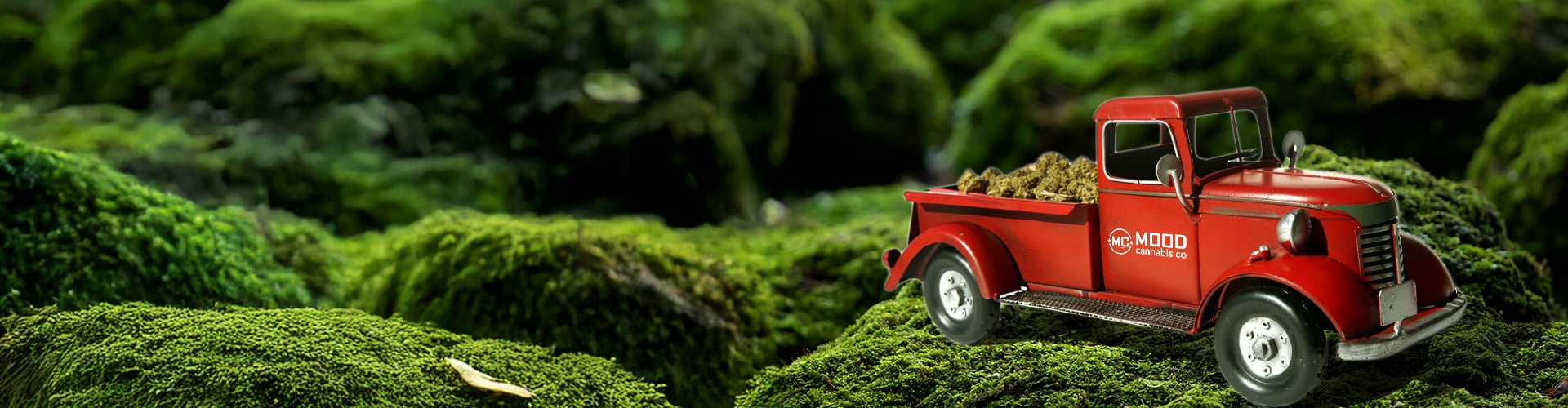 Efficient Coastal Delivery Services in Halifax Canada: A Complete Guide